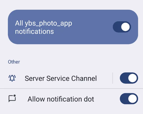 Notifications enabled for the server app
