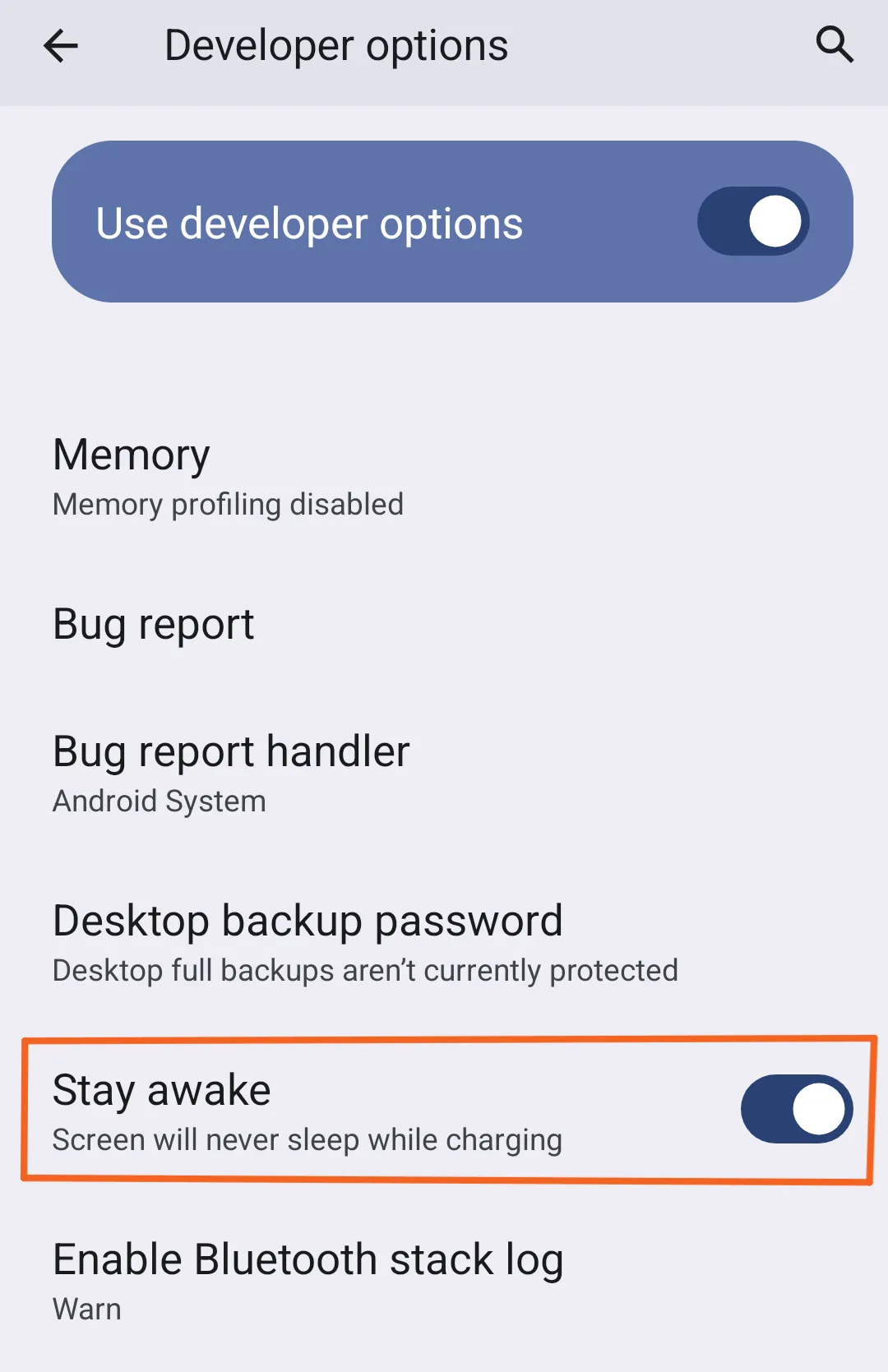 Stay Awake developer setting enabled