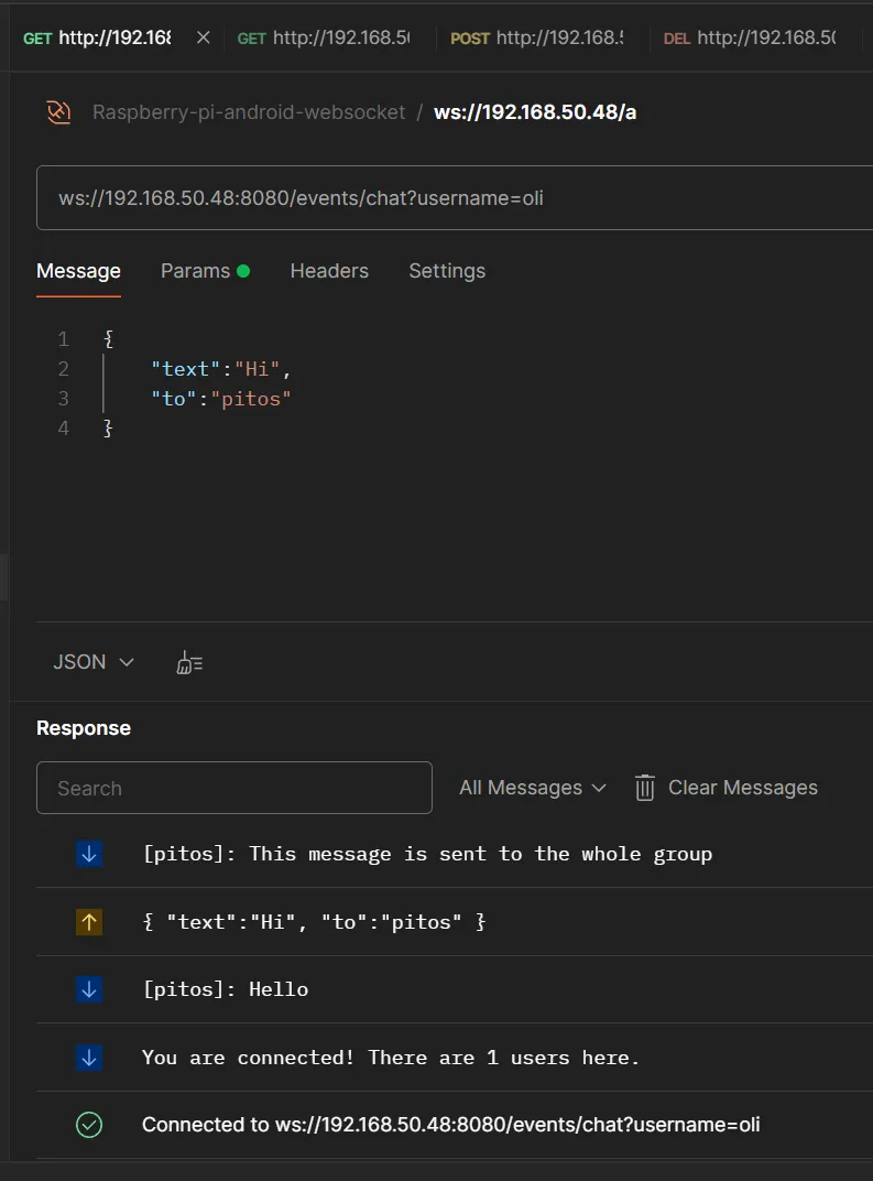 Sending a WebSocket message to a single user in Postman