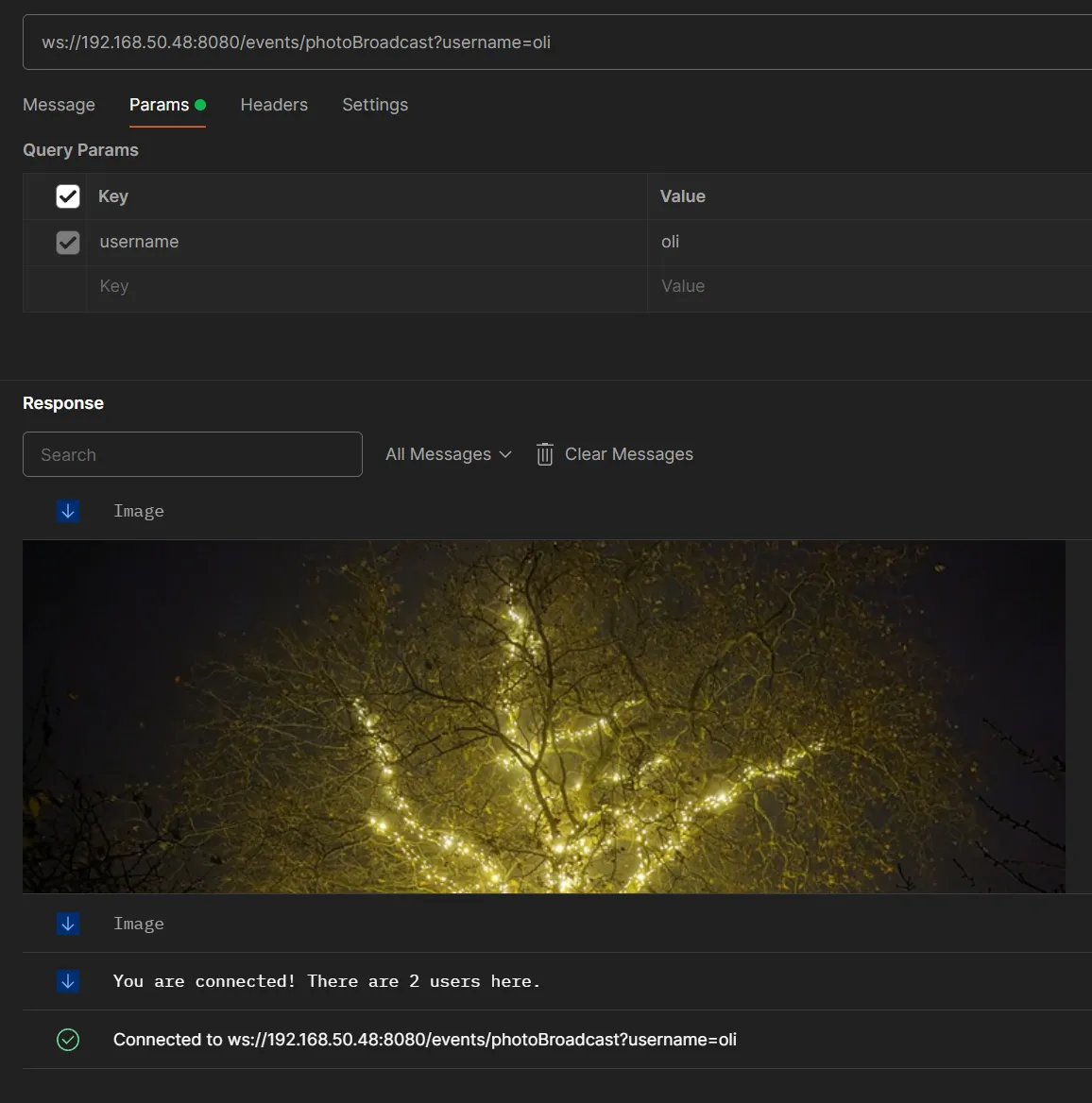 Image received over WebSockets and displayed