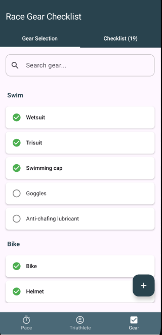 Race gear checklist grouped by swim and bike with items ticked off